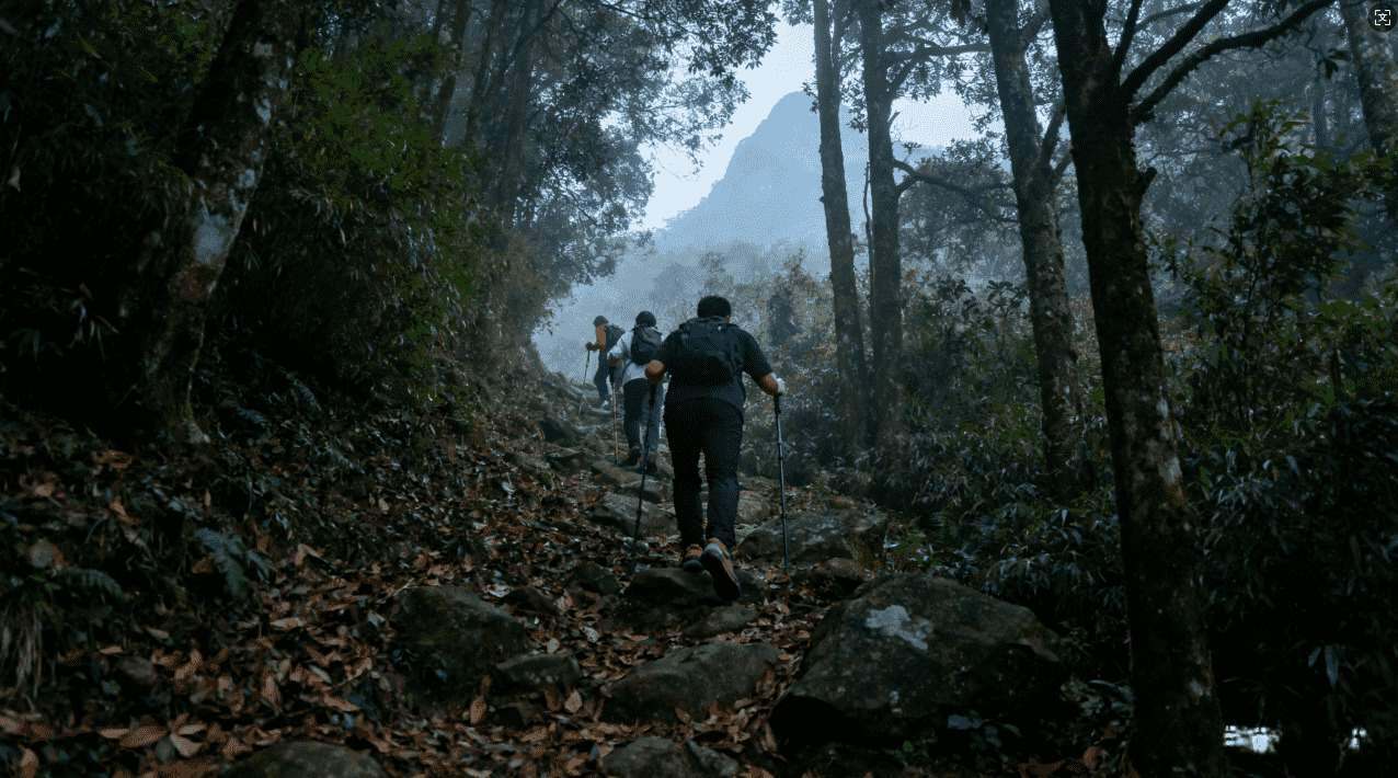 白鲸加速器认证流程及所需提交的材料详解